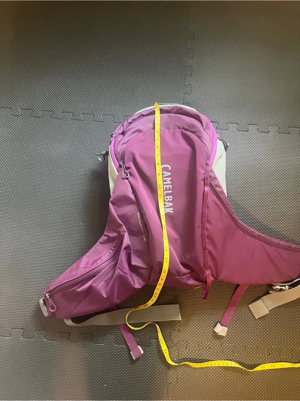 CamelBak Sequoia 18 Women's Hydration Backpack Purple 18L EUC *Reservoir Not Inc